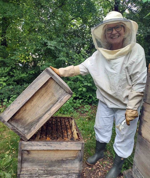 Imkerin entnimmt einem Bienenstock eine Zarge mit Waben und Bienen.