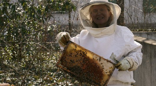 Imkerin entnimmt einem Bienenstock eine Zarge mit Waben und Bienen.