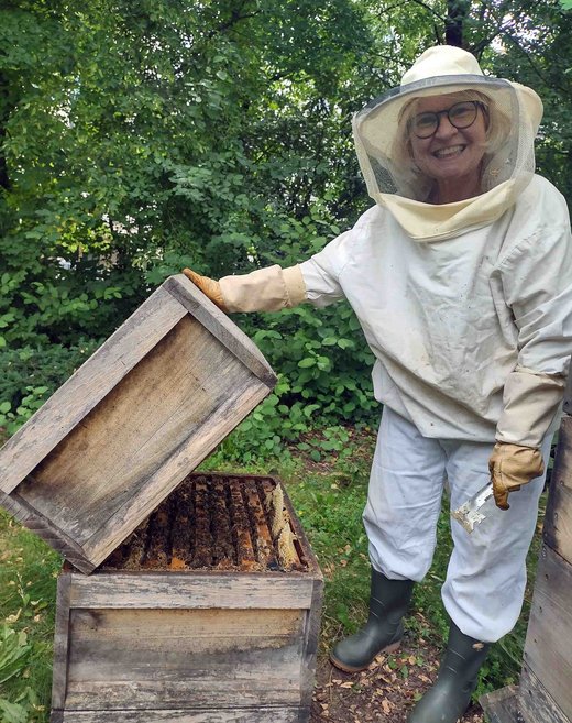 Beekeeper Ines Zirnbauer removes from a beehive a frame with honeycombs and bees.